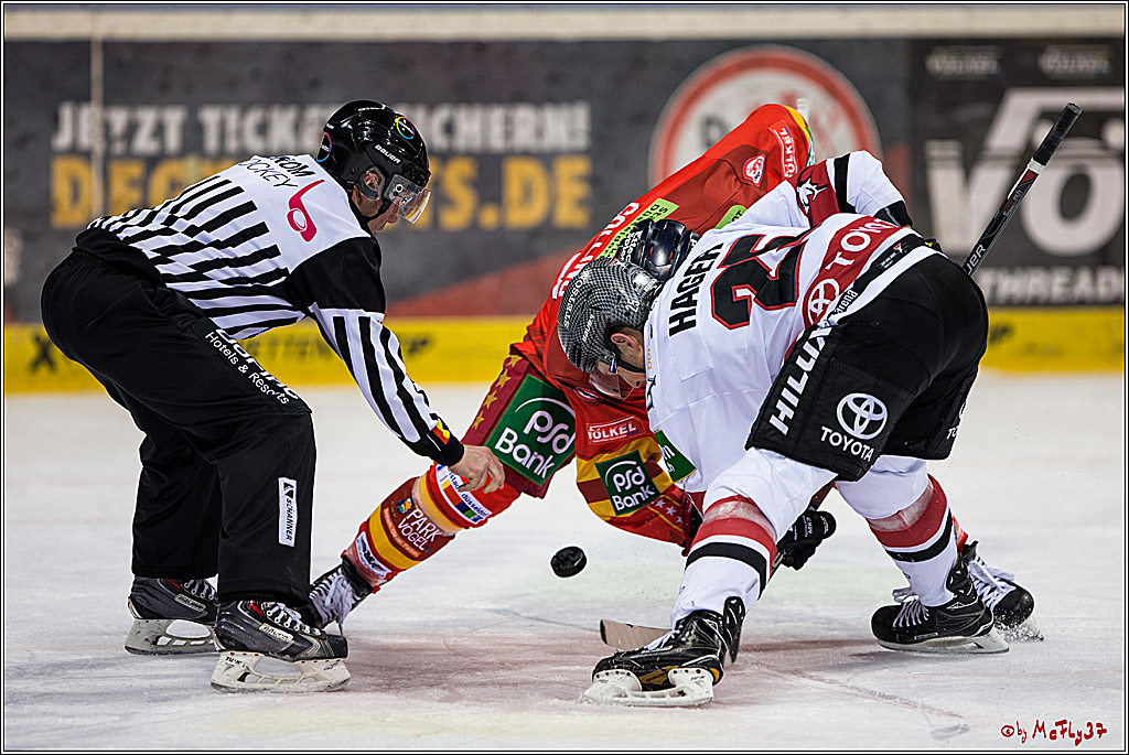 DEL, Koelner Haie - Duesseldorfer EGY, 22.01.2017